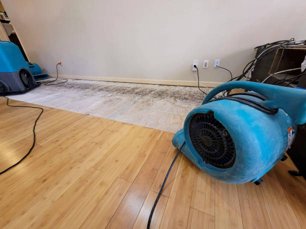 Professional Water Damage Repair technician working in Hubbard, OR